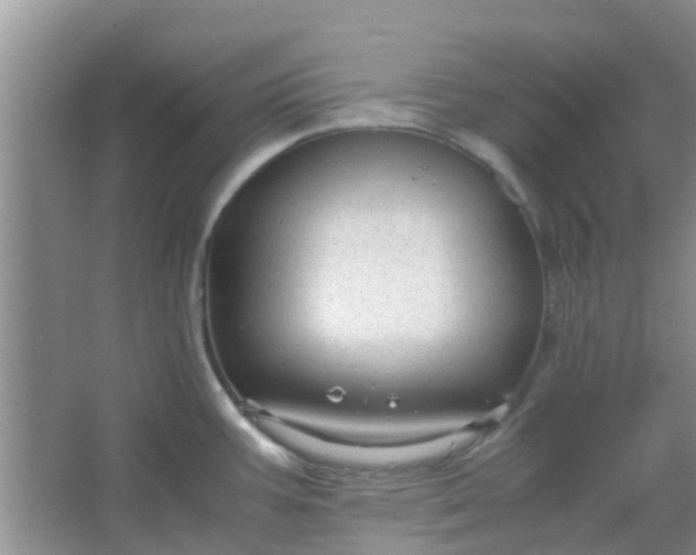 X0000066941387200604071901