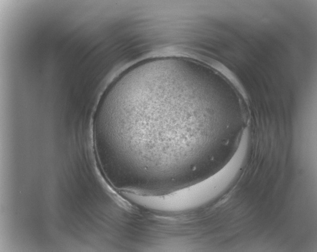 X0000066941388200604071901