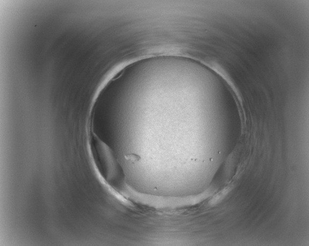 X0000066941389200604071901