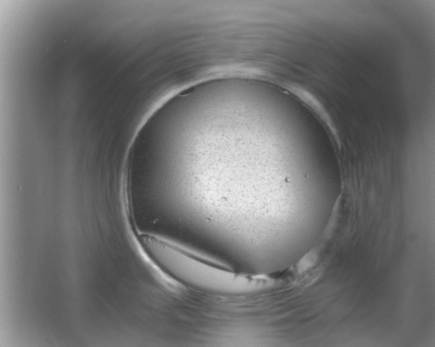 X0000066941391200604071901