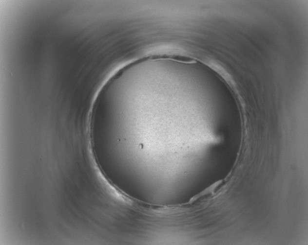 X0000066941392200604071901