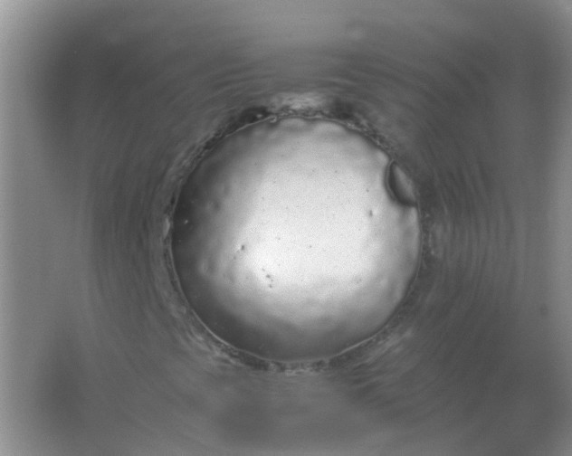 X0000066941393200604071900