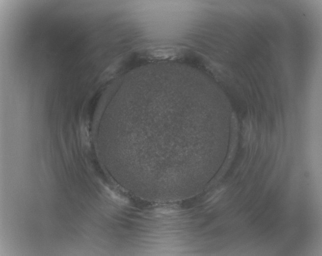 X0000066941394200604071900