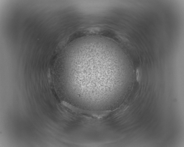 X0000066941395200604071900