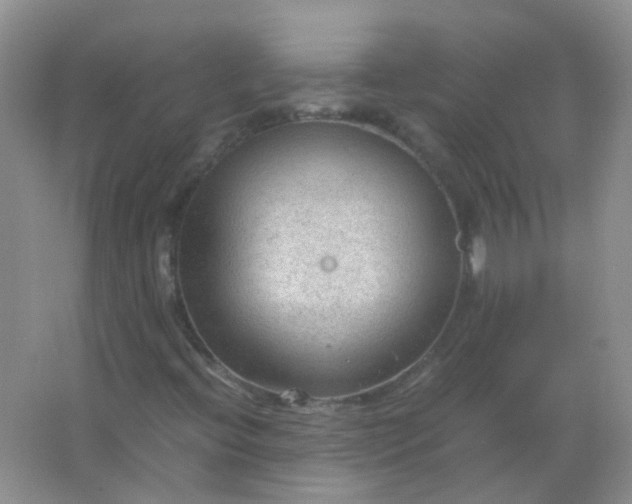 X0000066941396200604071900