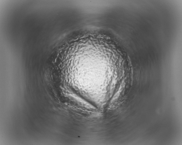 X0000066941397200604071900