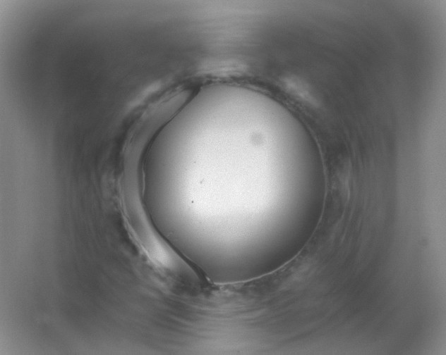 X0000066941398200604071900