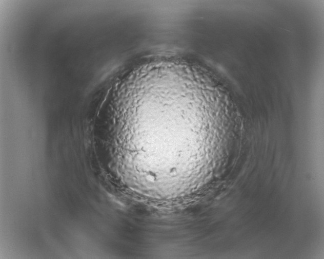 X0000066941399200604071900