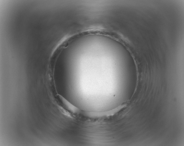 X0000066941400200604071900