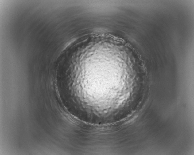 X0000066941401200604071900