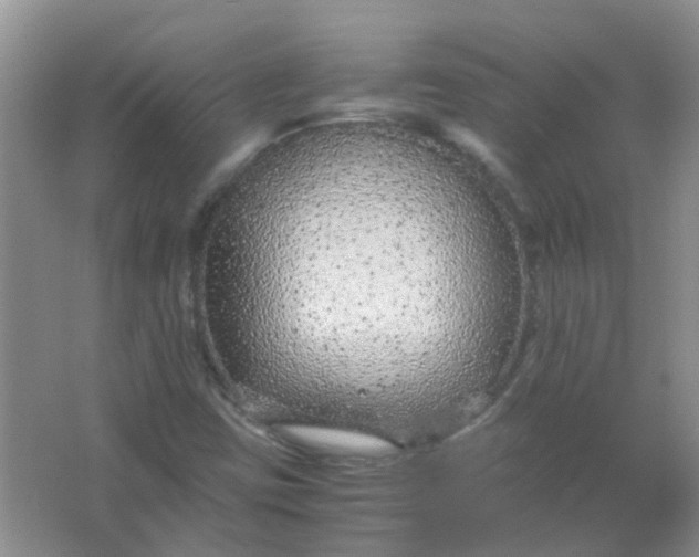 X0000066941403200604071900