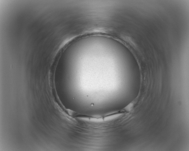 X0000066941404200604071900