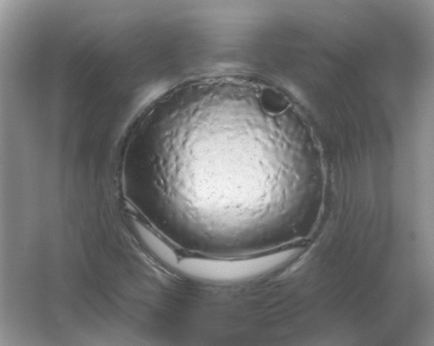 X0000066941405200604071900