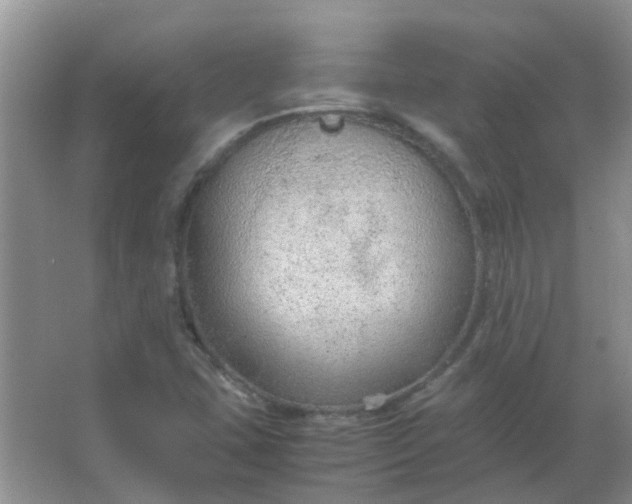 X0000066941407200604071900