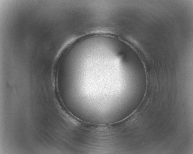 X0000066941408200604071900