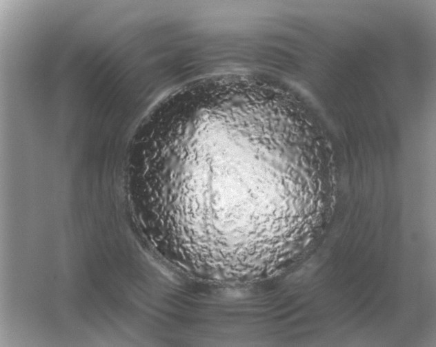 X0000066941409200604071900