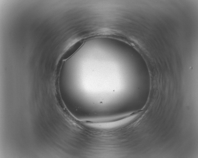 X0000066941410200604071900