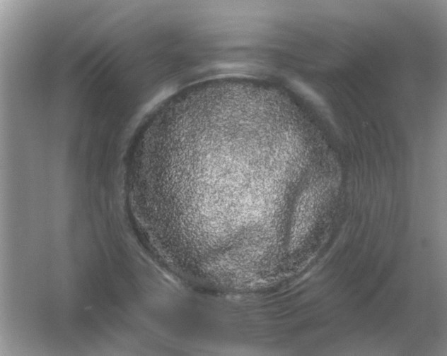 X0000066941411200604071900