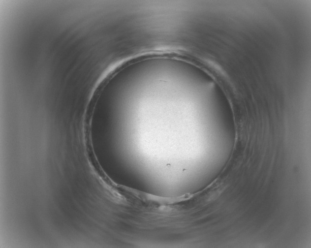 X0000066941412200604071900