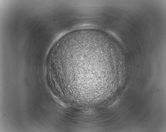 X0000066941413200604071900