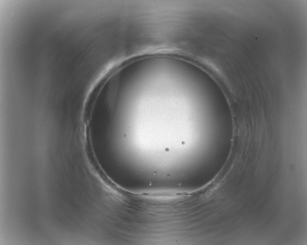 X0000066941414200604071900