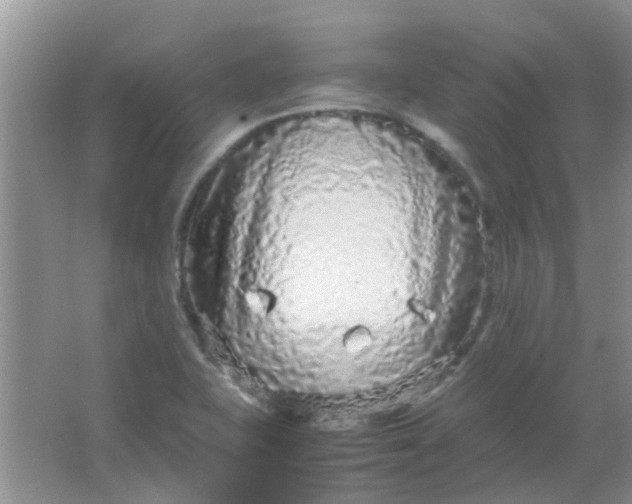 X0000066941415200604071900