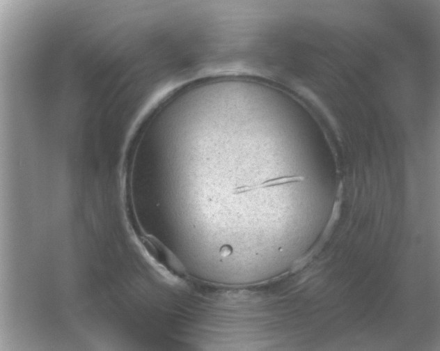 X0000066941416200604071900