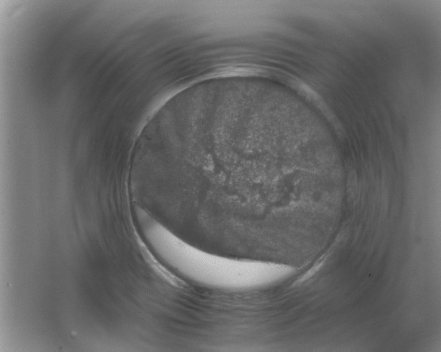 X0000066941417200604071900