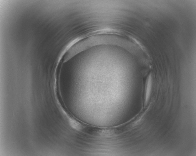 X0000066941418200604071900