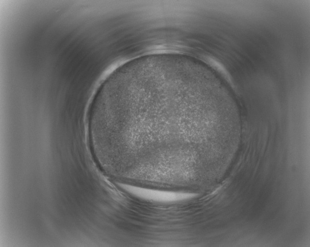 X0000066941419200604071900