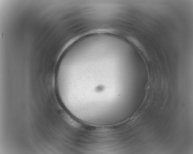 X0000066941420200604071900