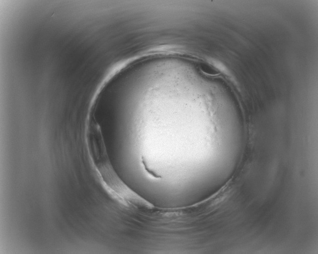 X0000066941421200604071900