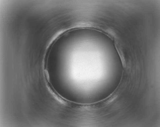 X0000066941422200604071900