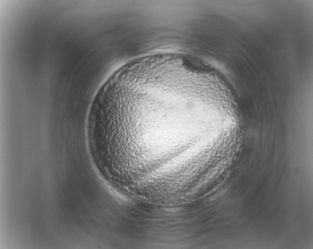 X0000066941423200604071900