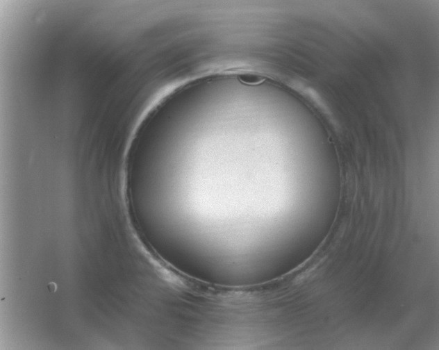 X0000066941424200604071900