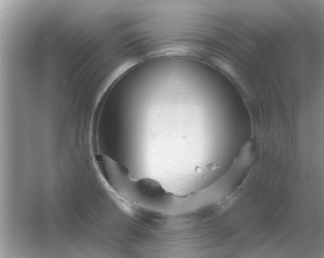 X0000066941426200604071900