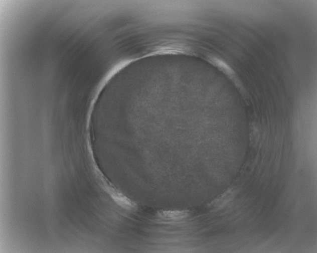 X0000066941427200604071900