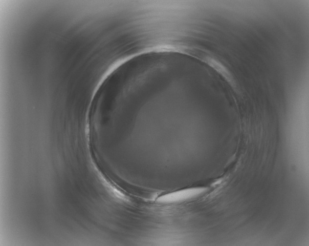 X0000066941428200604071900