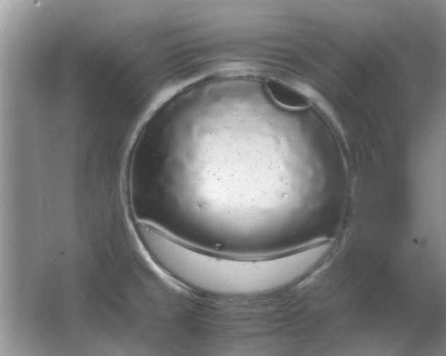 X0000066941429200604071900