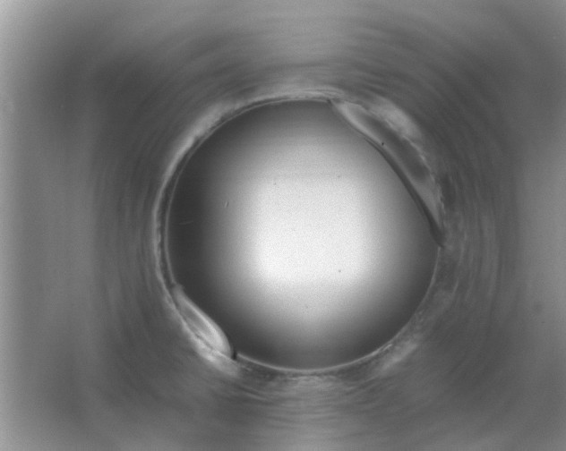 X0000066941430200604071900