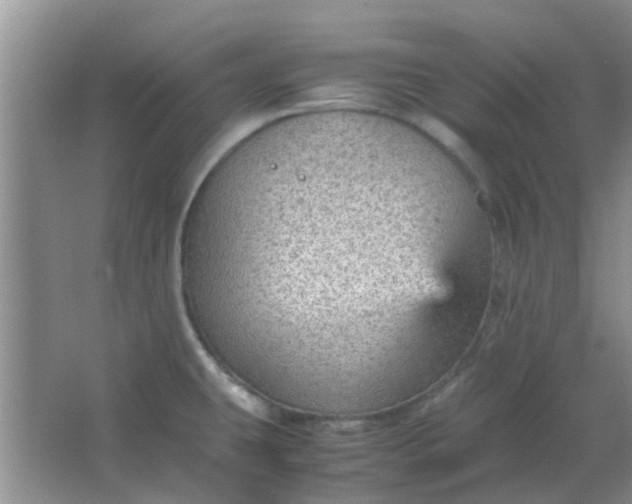 X0000066941431200604071901