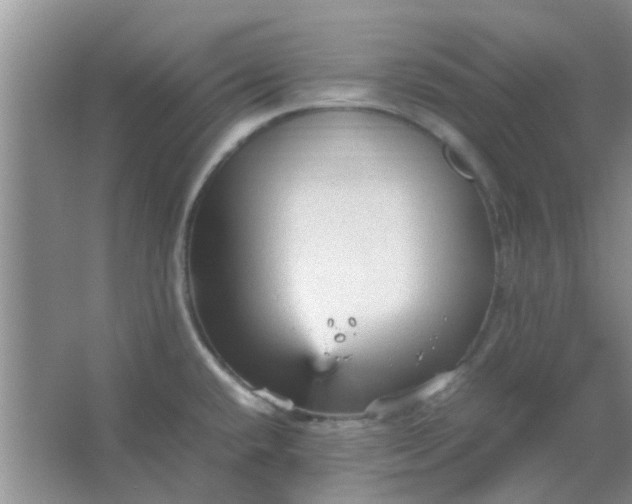 X0000066941432200604071901