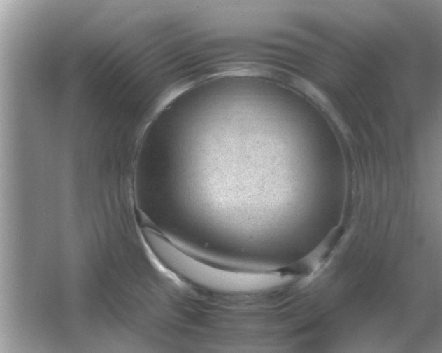 X0000066941433200604071901