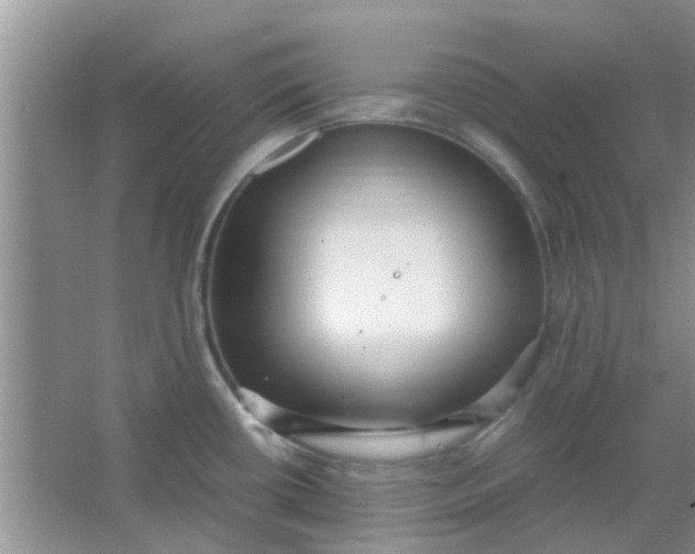 X0000066941434200604071901