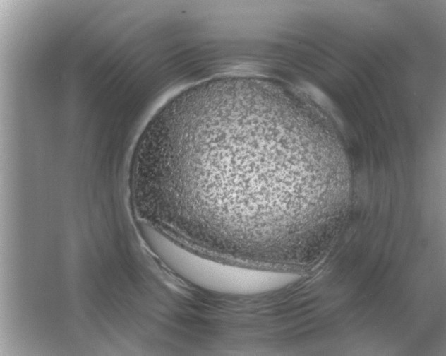 X0000066941435200604071901