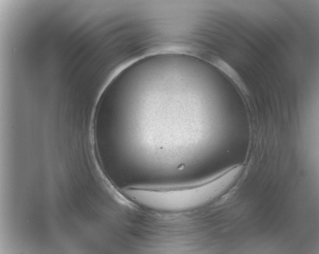 X0000066941436200604071901