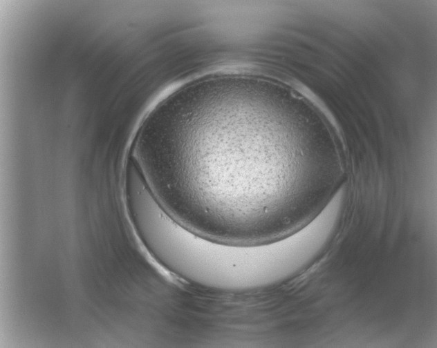 X0000066941437200604071901