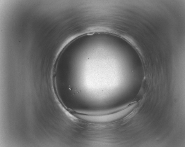 X0000066941438200604071901