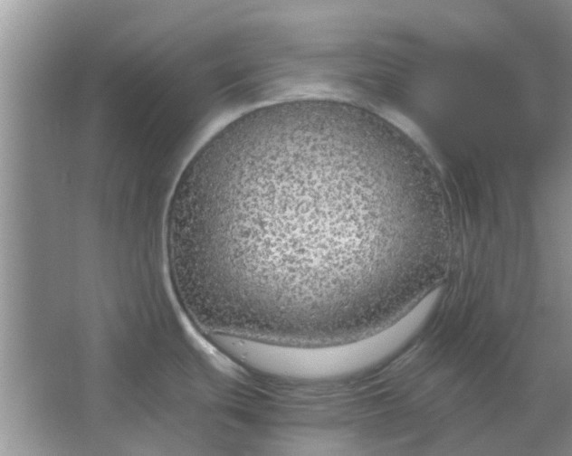 X0000066941439200604071901