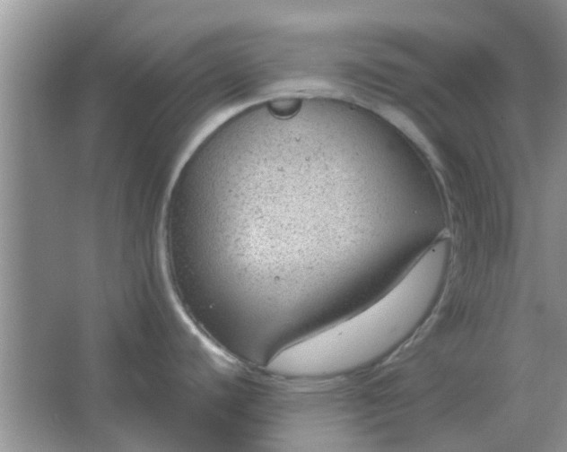 X0000066941440200604071901